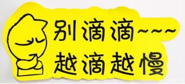實習車上路 真的可怕嗎？解析馬路上的“隱形警報”與汽車陪駕服務(wù)